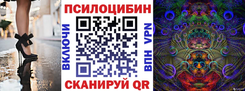 Галлюциногенные грибы Psilocybe  Волжский 