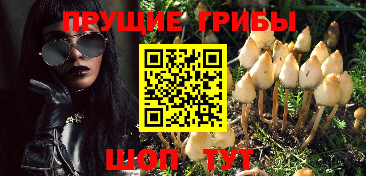 Псилоцибиновые грибы GOLDEN TEACHER Волжский