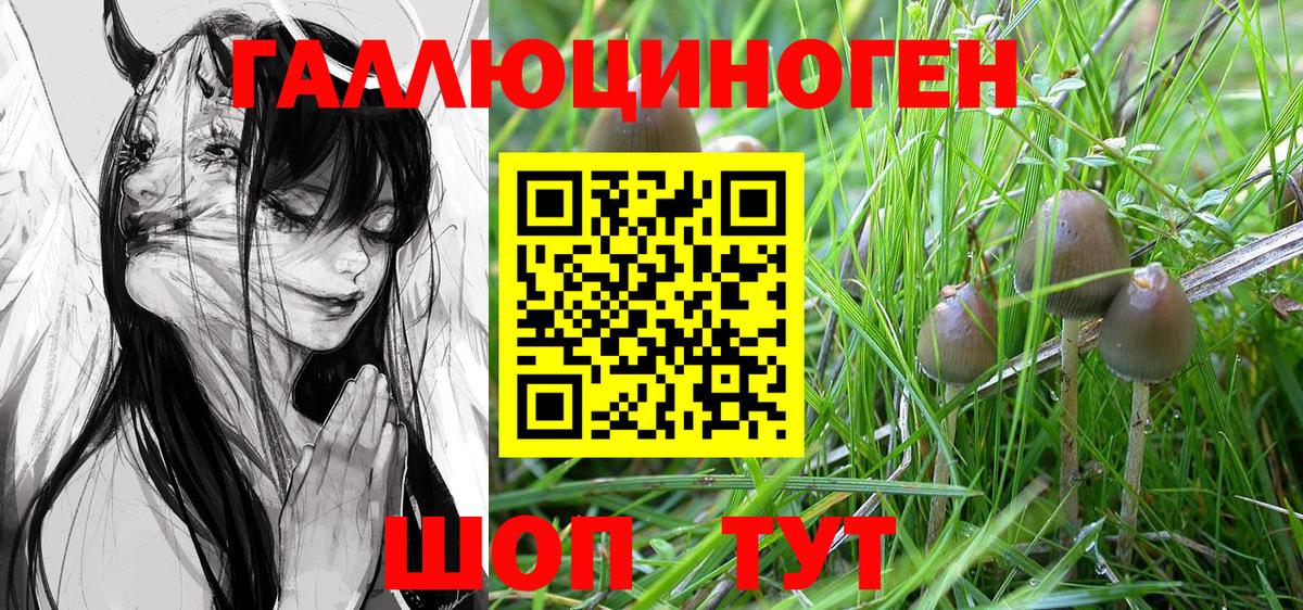 Псилоцибиновые грибы GOLDEN TEACHER Волжский