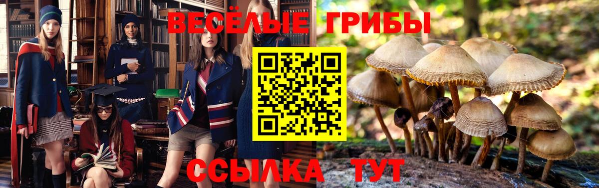Галлюциногенные грибы GOLDEN TEACHER  Вход с VPN  Волжский 